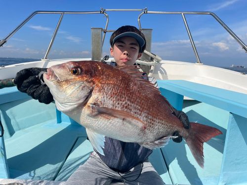 マダイの釣果