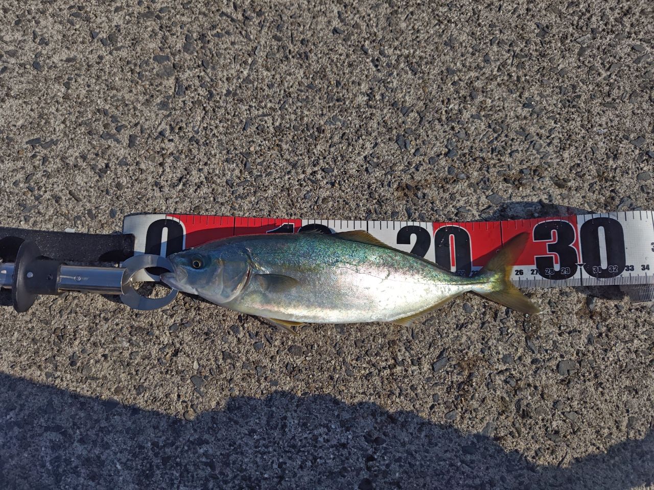 SHIMANO 23ルアーマチック（ソルトルアー推奨モデル） S96Mの最