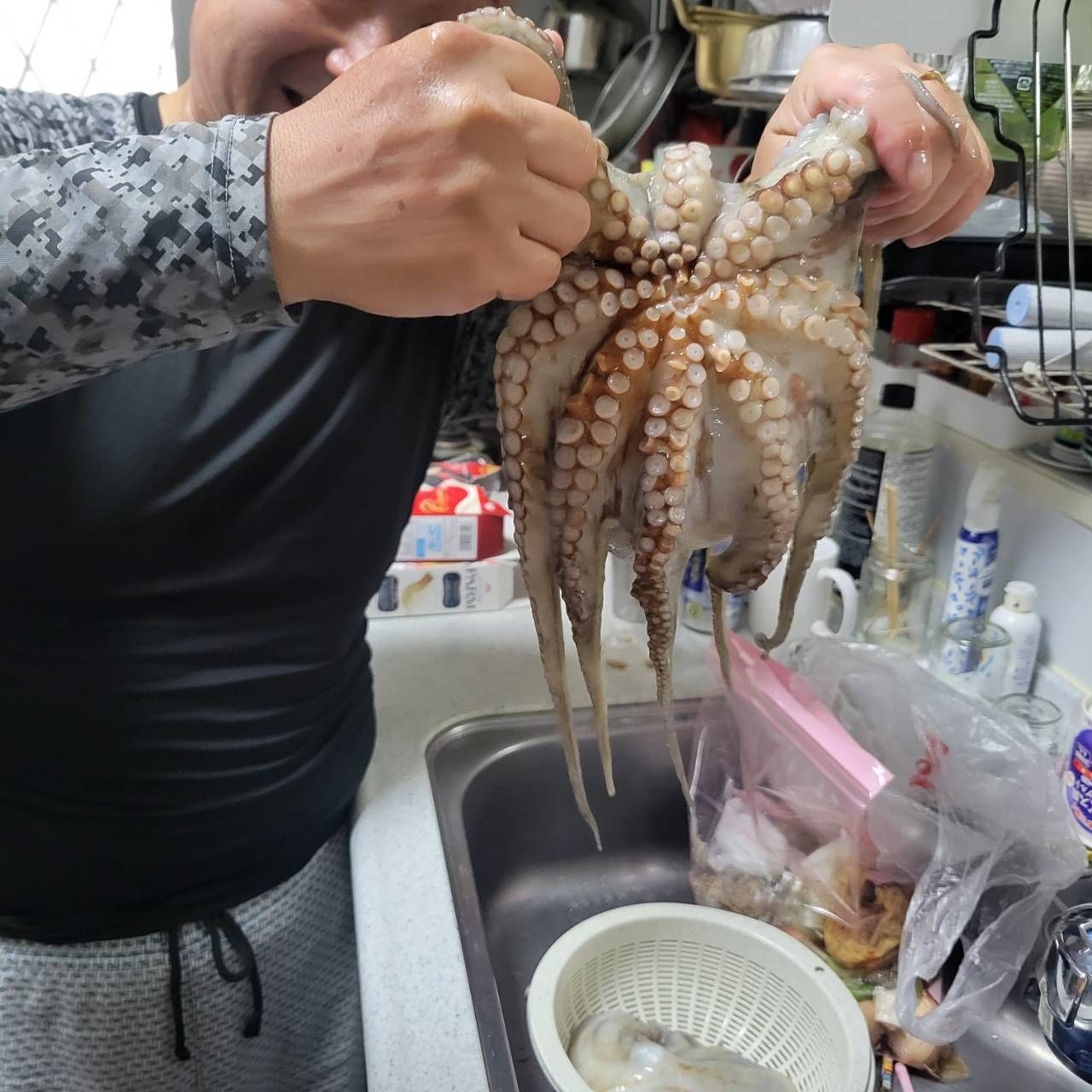 タコ