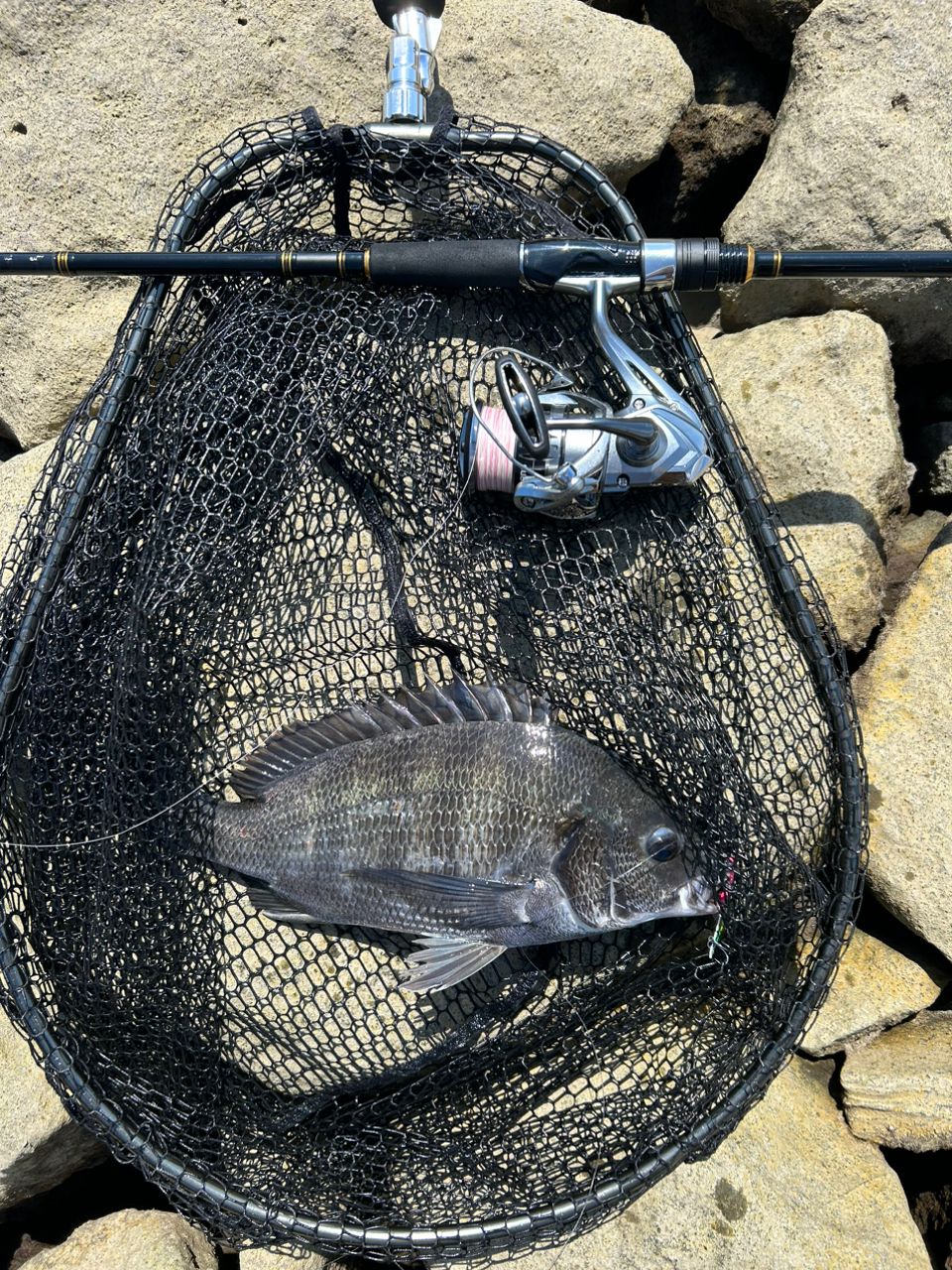 DAIWA 21シーバスハンター X 93ML・Rの最安値・インプレ・釣果