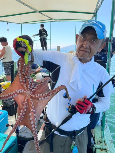 タコの釣果