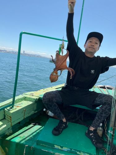 タコの釣果