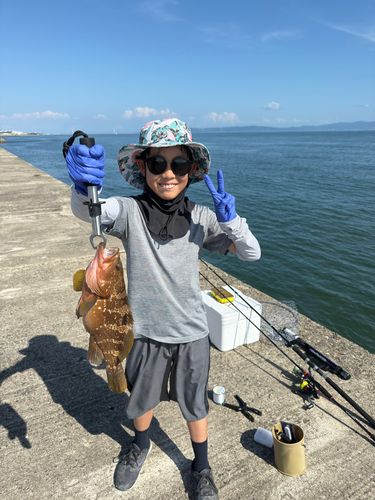 キジハタの釣果