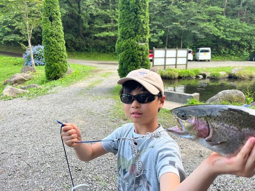 ニジマスの釣果