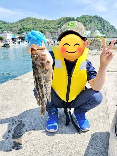 シマソイの釣果