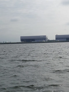 シロギスの釣果