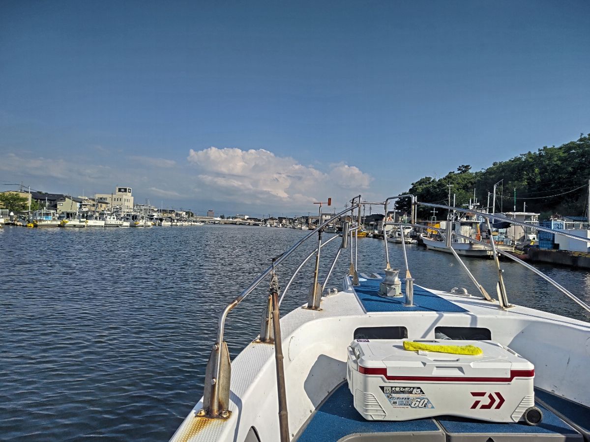 磯めちゃんさんの釣果 3枚目の画像