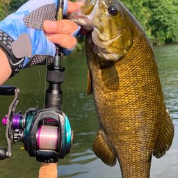 スモールマウスバス