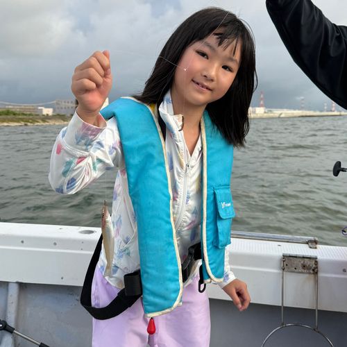 シロギスの釣果