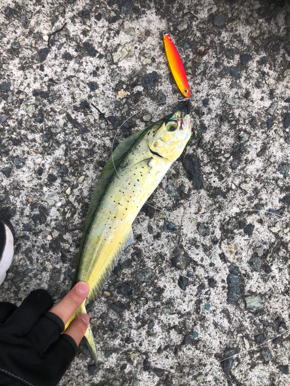 シマノ ルアーマチックmb s96m-4 シマノ シマノ/SHIMANO ルアーマチックMB S96M-4 スピニング