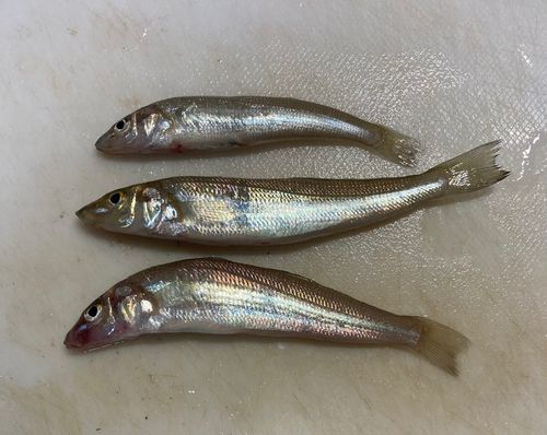 平成ヶ浜