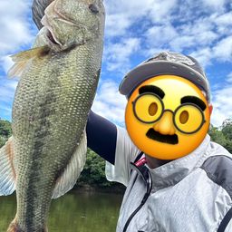 ブラックバス