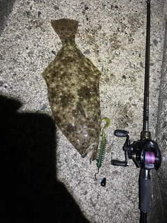 ヒラメの釣果