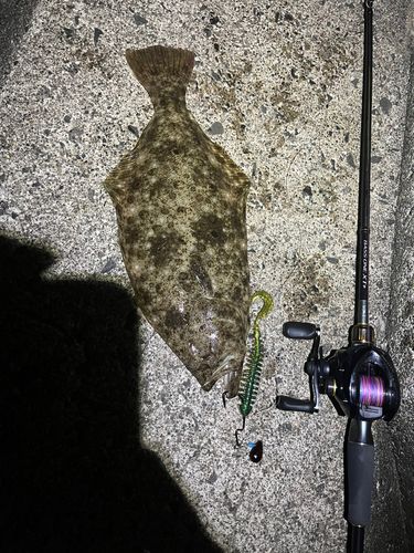 ヒラメの釣果