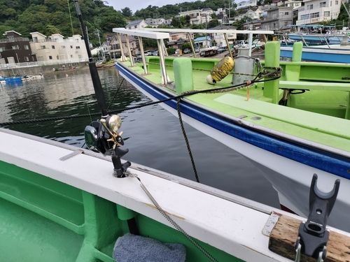 マアジの釣果