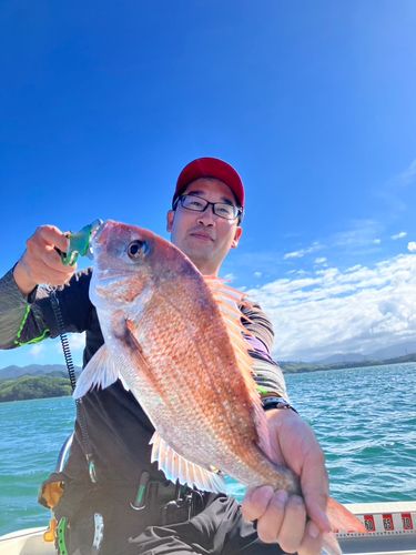 マダイの釣果