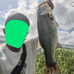 ブラックバス