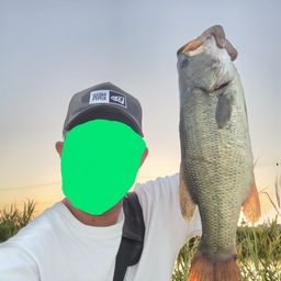 ブラックバス
