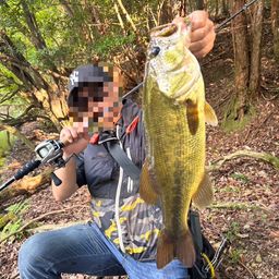 ラージマウスバス