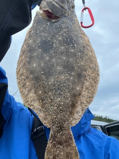 ソゲの釣果