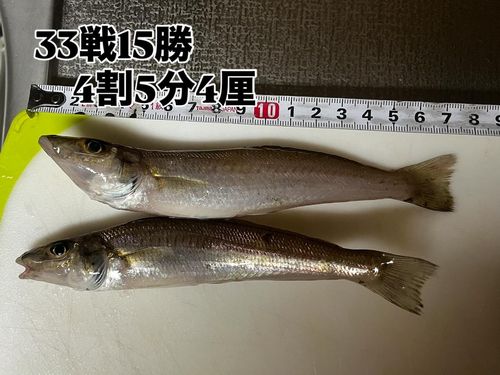 釣果