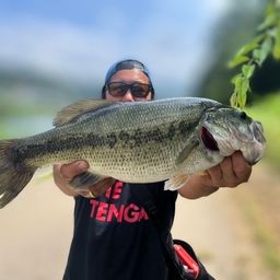 ラージマウスバス