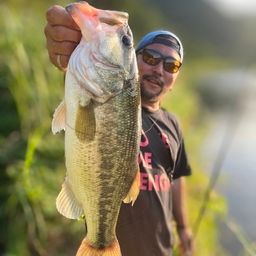 ラージマウスバス