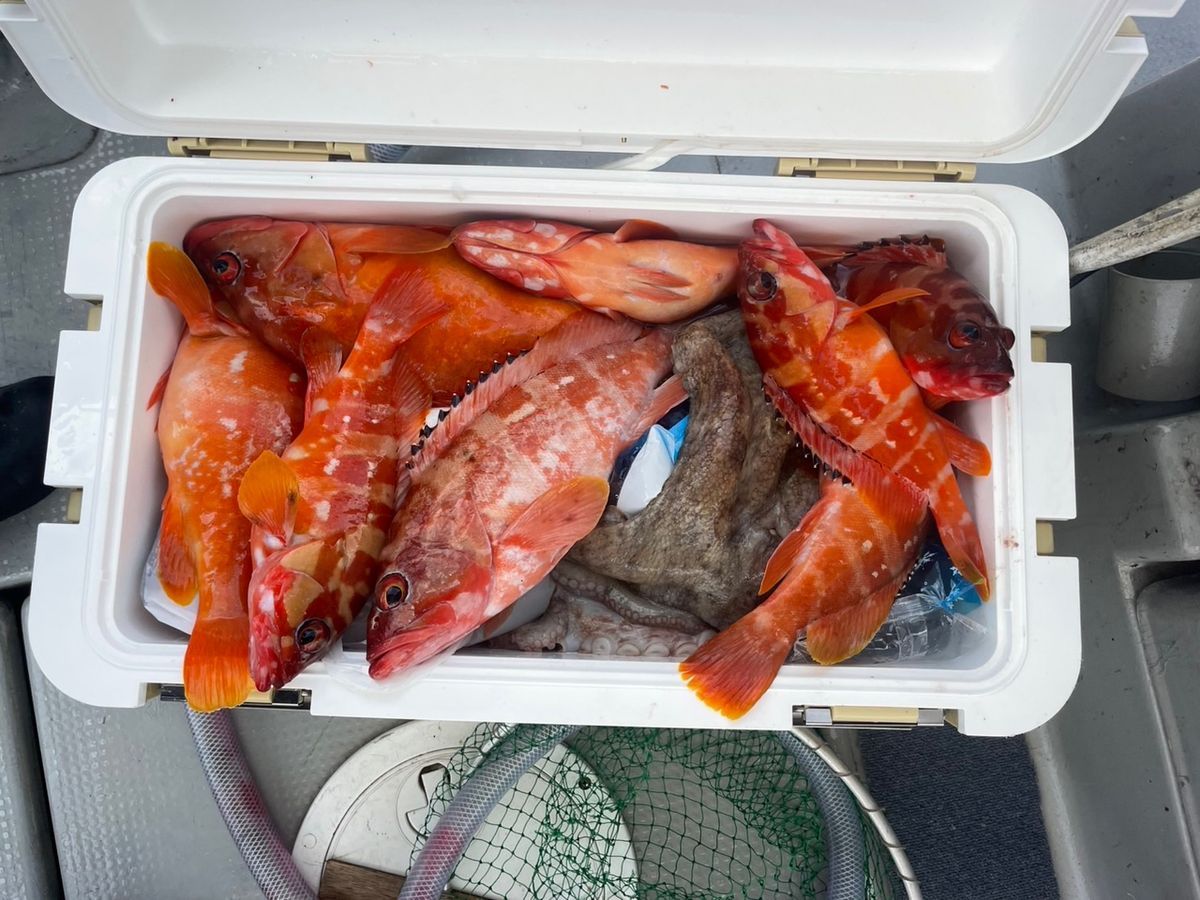 田畑良朗@なつき丸さんの釣果 2枚目の画像