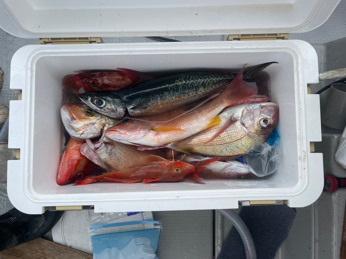 田畑良朗@なつき丸さんの釣果 3枚目の画像