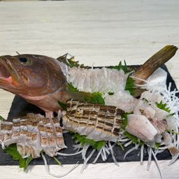 キジハタ