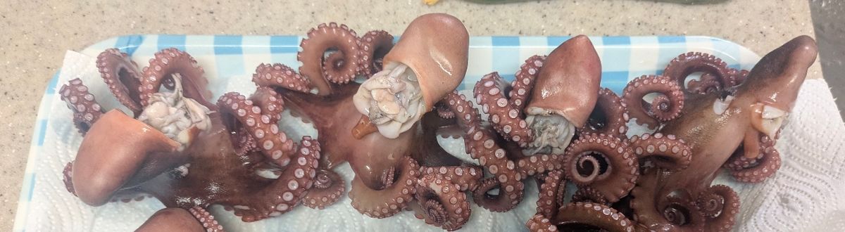 タコタチさんの釣果 2枚目の画像