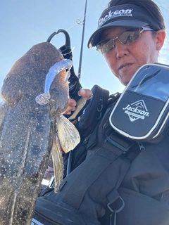 マゴチの釣果