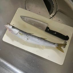 カマス