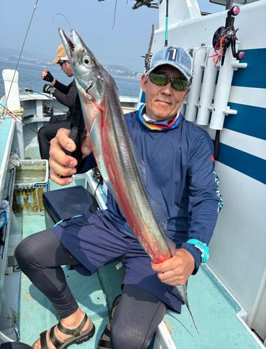 タチウオの釣果