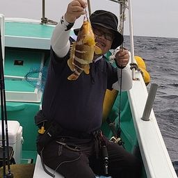 アオハタ