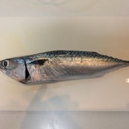 サバ