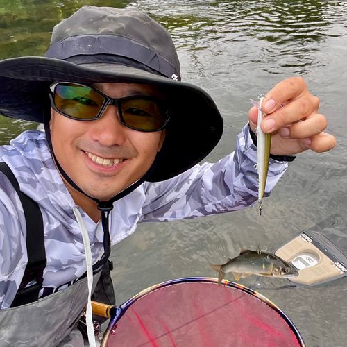 アユの釣果