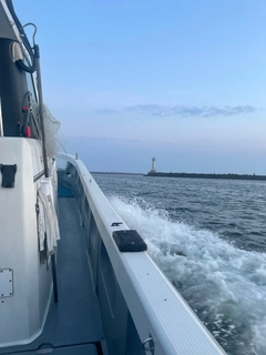 クロマグロの釣果