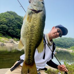 ブラックバス