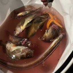 ハモ