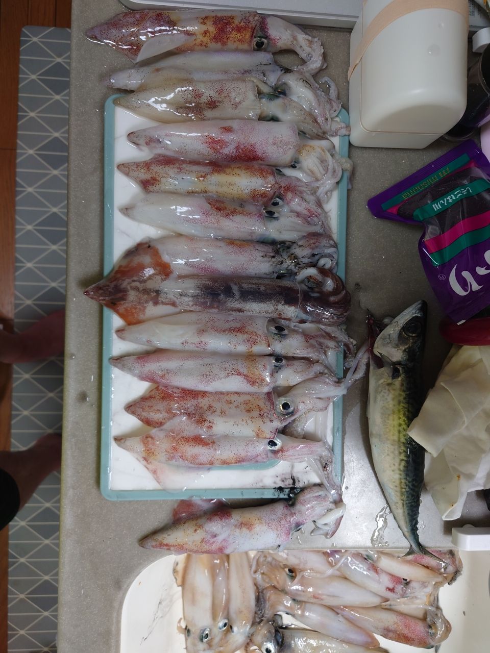 ipukissさんの釣果 2枚目の画像