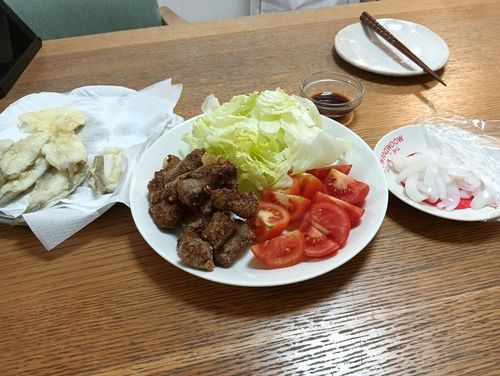 イカの釣果