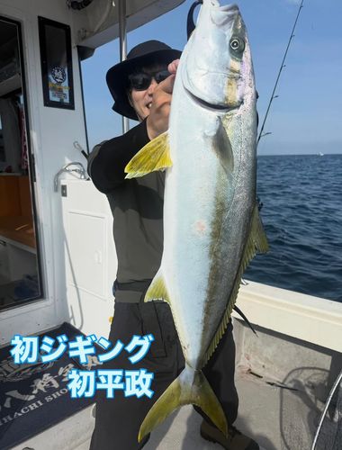 ヒラマサの釣果