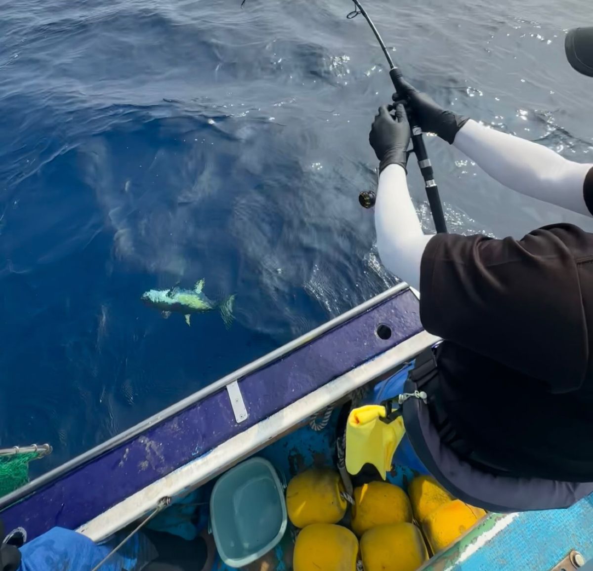 shizuシズさんの釣果 2枚目の画像