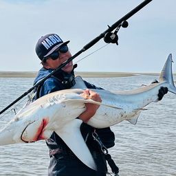 巧_TAKUMI さんの 2025年05月14日のサメの釣り・釣果情報(鹿児島県