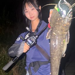 ナマズ