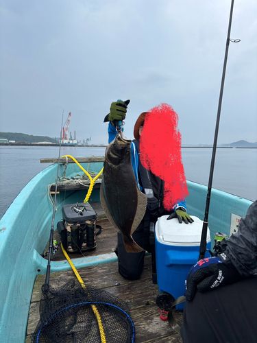ヒラメの釣果