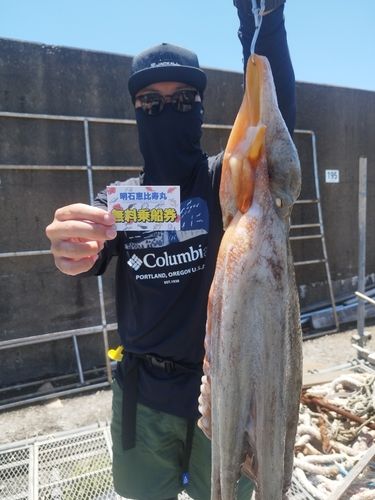 タコの釣果
