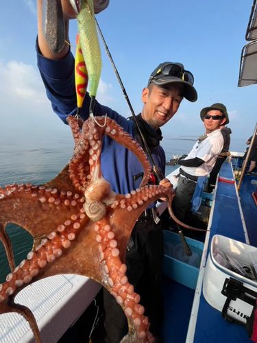 タコの釣果