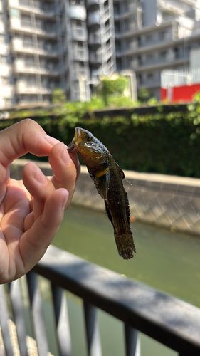 仙台堀川公園